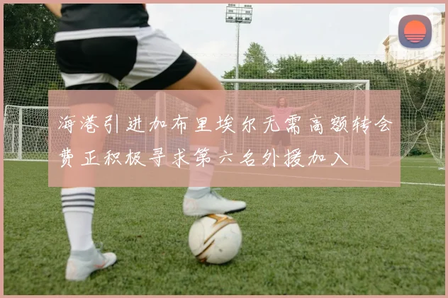 海港引进加布里埃尔无需高额转会费正积极寻求第六名外援加入