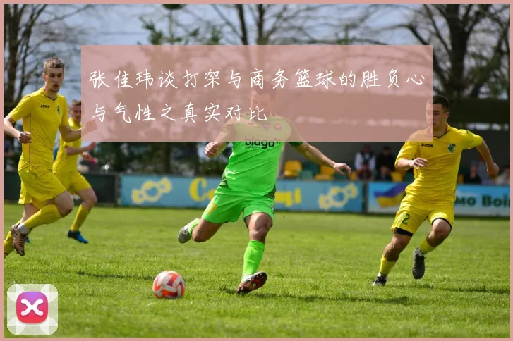 张佳玮谈打架与商务篮球的胜负心与气性之真实对比