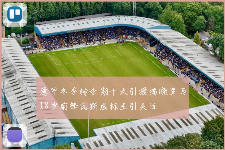 意甲冬季转会期十大引援揭晓罗马18岁前锋瓦斯成标王引关注