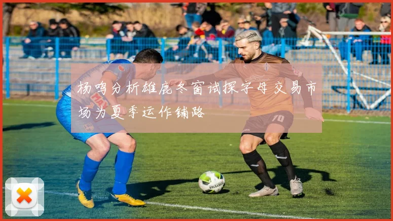 杨鸣分析雄鹿冬窗试探字母交易市场为夏季运作铺路
