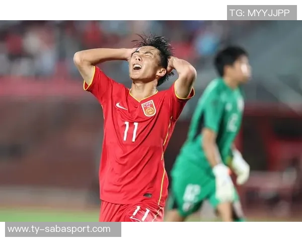 中国国家男子足球队应邀参加国际足联系列赛将于三月进行两场友谊赛 中国国家男子足球队应邀参加国际足联系列赛将于三月进行两场友谊赛